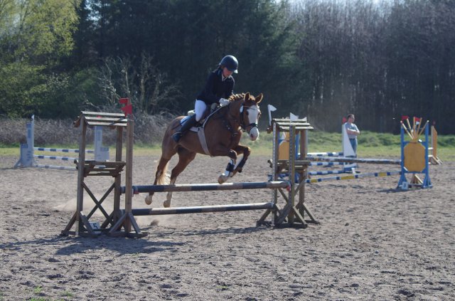 Reitertag_2019